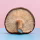 Illustration for article titled Are we supposed to wash mushrooms or not?